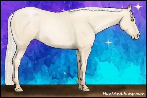 Horse Color:Silver Sable Cream Champagne Pearl 