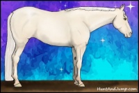 Horse Color:Silver Sable Cream Champagne Pearl