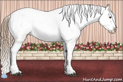 Horse Color:Liver Chestnut Pearl Appaloosa 