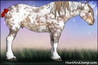 Horse Color:White Spotted Liver Chestnut Ice 