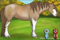 Horse Color:Black Pearl Sabino 