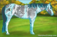 Horse Color:Thunderstruck White Spotted Black Ice 