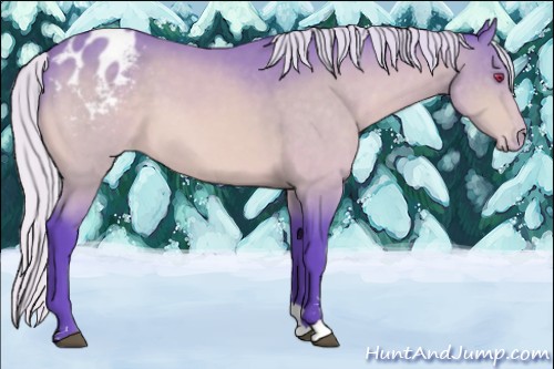 Horse Color:Watercolor Silver Brown Chinchilla Sabino Appaloosa 