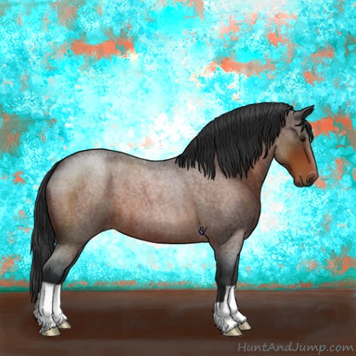 Horse Color:Brown Roan 