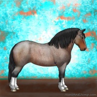Horse Color:Brown Roan 