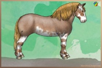 Horse Color:Painted Red Roan Splash 