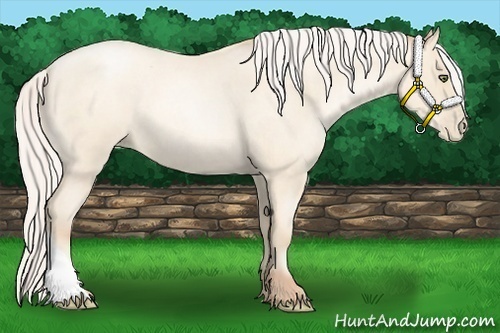 Horse Color:Silver Amber Cream Champagne Roan Pearl 
