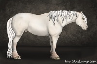 Horse Color:Silver Amber Cream Champagne Pearl 