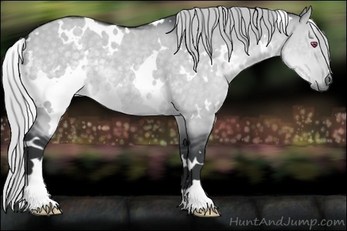 Horse Color:White Spotted Silver Grullo Chinchilla 