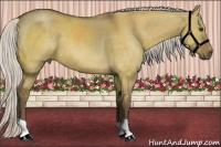 Horse Color:Silver Buckskin Dun 