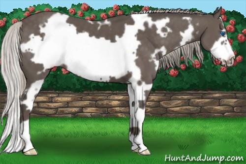 Horse Color:White Spotted Silver Black Frame 