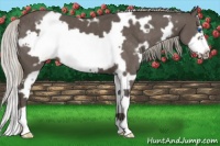 Horse Color:White Spotted Silver Black Frame 