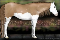 Horse Color:Black Pearl Splash 