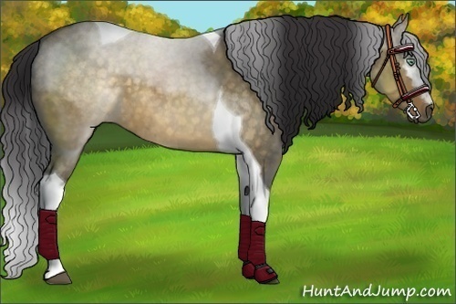 Horse Color:White Spotted Buckskin Dun Tobiano