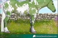 Horse Color:Watercolor White Spotted Silver Black 