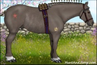 Horse Color:Silver Black Rabicano