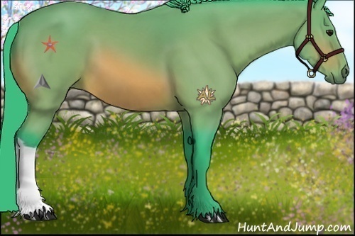 Horse Color:Watercolor Bay