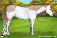 Horse Color:Brown Pearl Splash 
