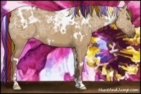 Horse Color:Painted White Spotted Red Dun Ice 