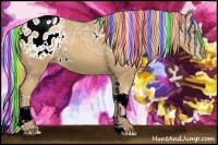 Horse Color:Painted White Spotted Silver Classic Champagne Ice Tobiano Appaloosa Rabicano 