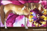 Horse Color:Painted White Spotted Bay Onyx