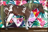 Horse Color:Painted White Spotted Bay Rabicano 