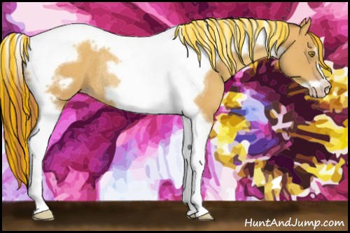 Horse Color:Painted White Spotted Gold Champagne Tobiano Frame Rabicano