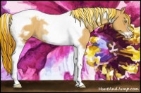 Horse Color:Painted White Spotted Gold Champagne Tobiano Frame Rabicano 