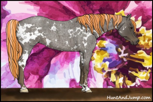 Horse Color:Painted White Spotted Silver Smoky Blue Roan 