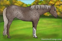 Horse Color:Silver Black 
