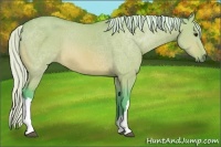 Horse Color:Watercolor Silver Bay Dun