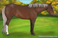 Horse Color:Silver Brown 