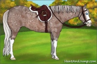 Horse Color:Silver Bay Ice Sabino Splash