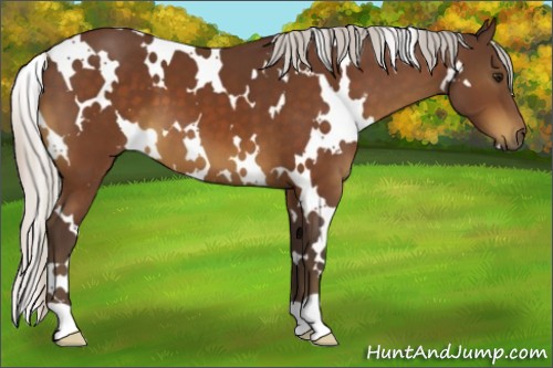 Horse Color:White Spotted Silver Brown 