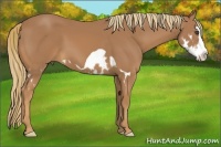 Horse Color:Chestnut Splash Frame