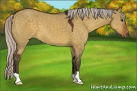 Horse Color:Silver Brown Dun 