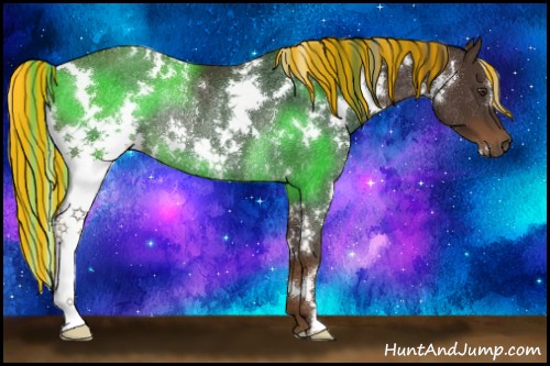 Horse Color:Painted White Spotted Liver Chestnut Rabicano 