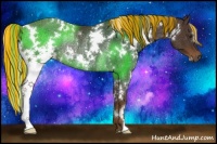 Horse Color:Painted White Spotted Liver Chestnut Rabicano 