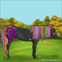 Horse Color:Gray Painted White Spotted Liver Chestnut Rabicano 