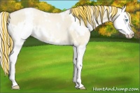 Horse Color:Painted White Spotted Palomino Pearl Dun Splash Rabicano