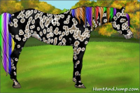 Horse Color:Gray Painted Palomino Dun Tobiano Leopard Rabicano