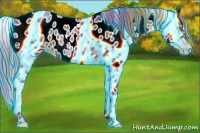 Horse Color:Gray Thunderstruck White Spotted Gold Champagne Appaloosa Rabicano 