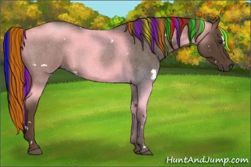 Horse Color:Painted White Spotted Liver Red Roan Rabicano 