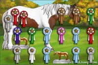Horse Color:Silver Brown Tobiano