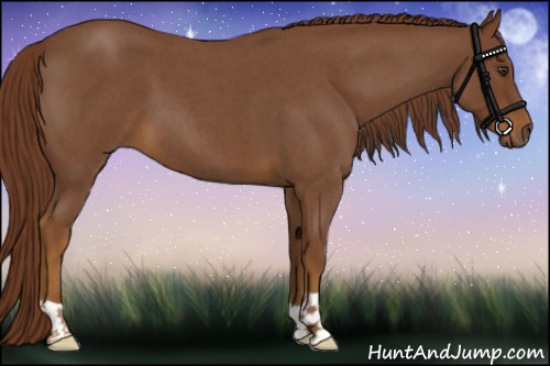 Horse Color:Red Roan