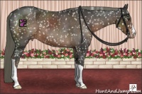 Horse Color:Liver Chestnut Mushroom Snowflake Varnish