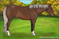Horse Color:Silver Brown 