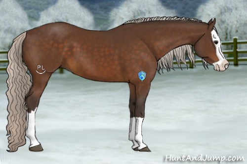 Horse Color:Silver Brown Splash 