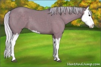 Horse Color:Watercolor Silver Grullo Splash