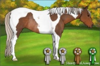 Horse Color:Silver Brown Tobiano Rabicano